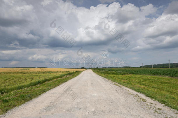 空旷的乡间小路穿过麦田，天空