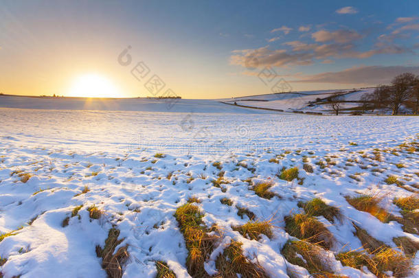 蓝天下夕阳下的雪原
