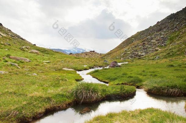 溪流在清新绿色的阿尔卑斯草原上，背景是阿尔卑斯山的雪峰