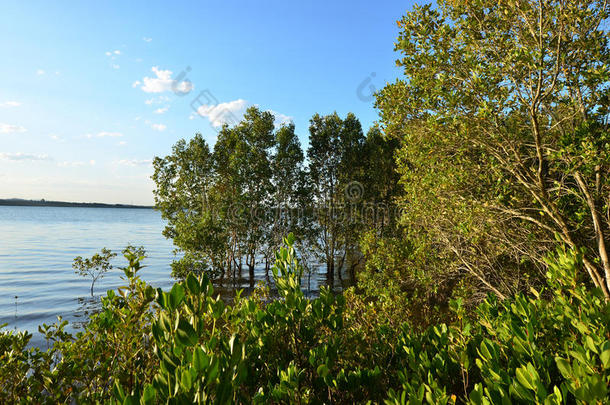 库姆巴湖-澳大利亚昆士兰州