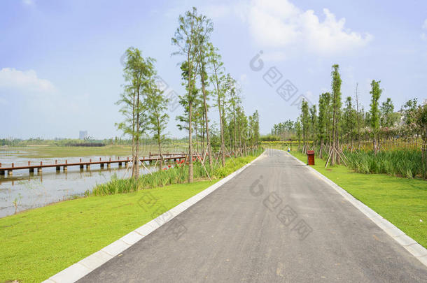 湖边柏油路，夏日葱茏，阳光明媚