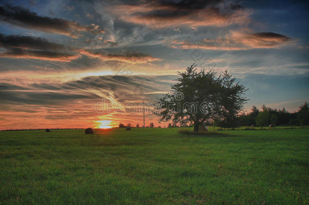 草地上的干草捆和孤零零的树，映衬着夕阳下乌云密布的美丽天空