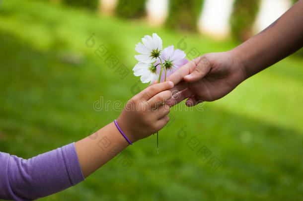 孩子的手给她的朋友送花