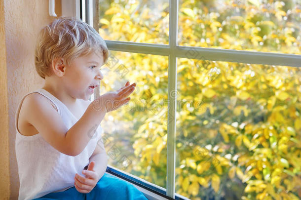可爱的金发小男孩在黄色的秋树上看着窗外。