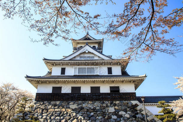 日本京都樱花季