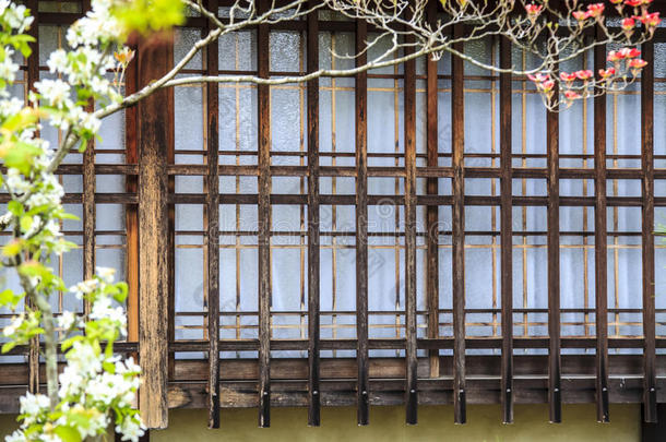 日本京都樱花季