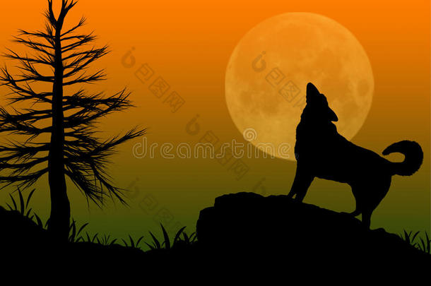 狼对着月亮<strong>嚎叫</strong>。