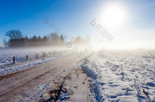 雾蒙蒙的雪路上的母子俩