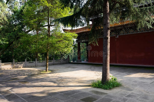 阳光明媚的夏日，中国古建筑院内的古树