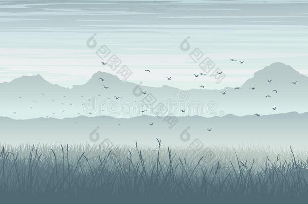空中飞鸟云雾景观的水平插图。
