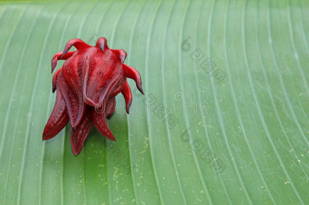 农业的<strong>香蕉花</strong>食物新鲜的