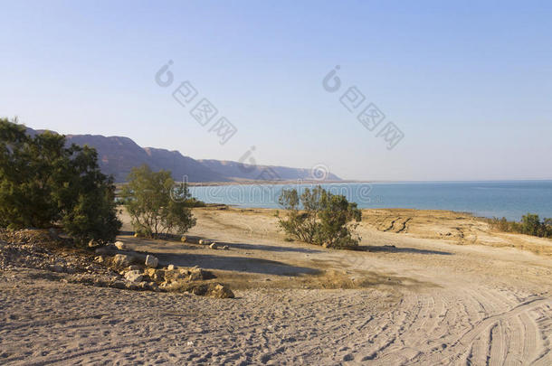 美丽的风景在沙地死海海岸