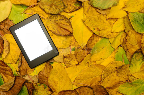 <strong>电子书阅读器</strong>躺在秋叶背景上