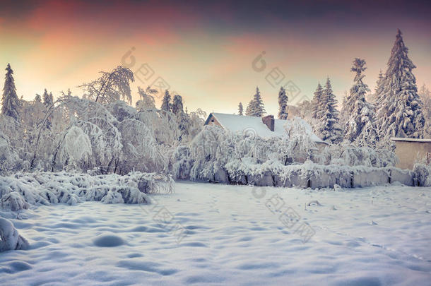 冬天的<strong>童话</strong>，大雪覆盖了树木和房<strong>屋</strong>
