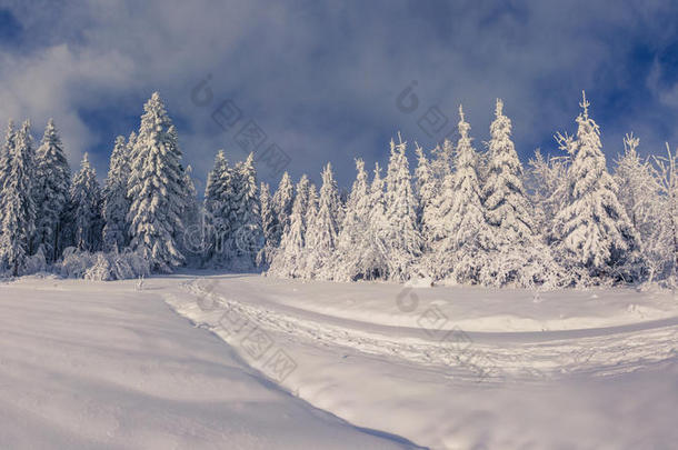 山林冬日美景