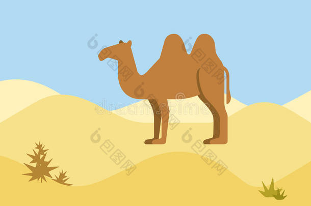 骆驼沙漠栖息地平面设计卡通载体野生动物
