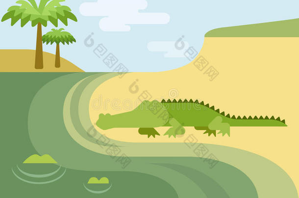 短吻鳄鳄鱼扁平卡通野生动物爬行动物