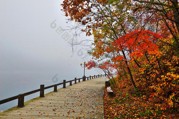 木栈桥上的秋叶