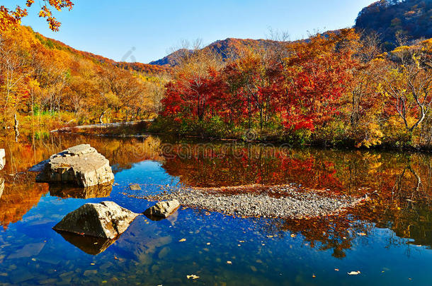 湖畔秋山石