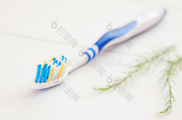 牙刷和牙膏牙科卫生设备