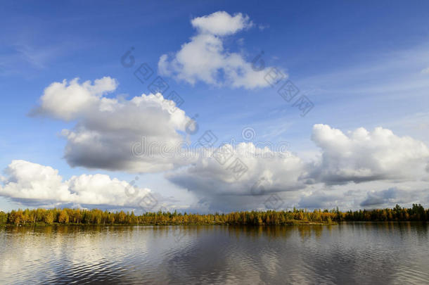 俄罗斯北部河流和树木的秋季景观