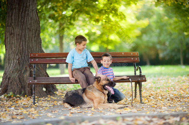 公园里<strong>的</strong>孩子们和一只德国牧羊犬在一起