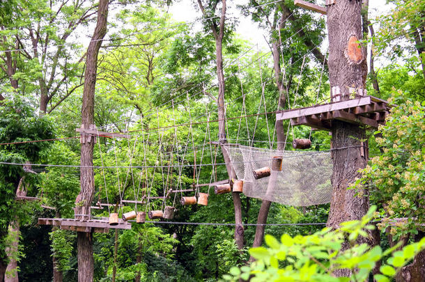森林训练营的索桥
