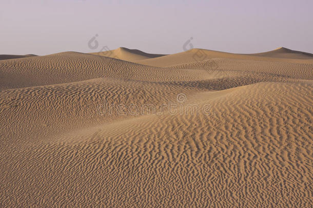 沙漠中起伏的沙丘