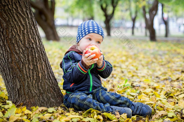 可爱的蹒跚学步的男孩吃着新鲜的红苹果