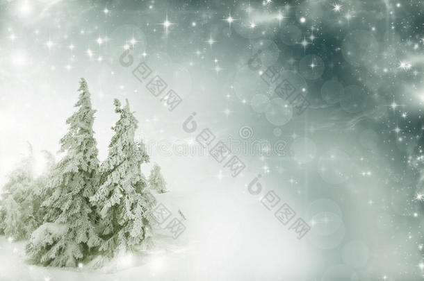 冬季景观-白雪覆盖的树木和星空