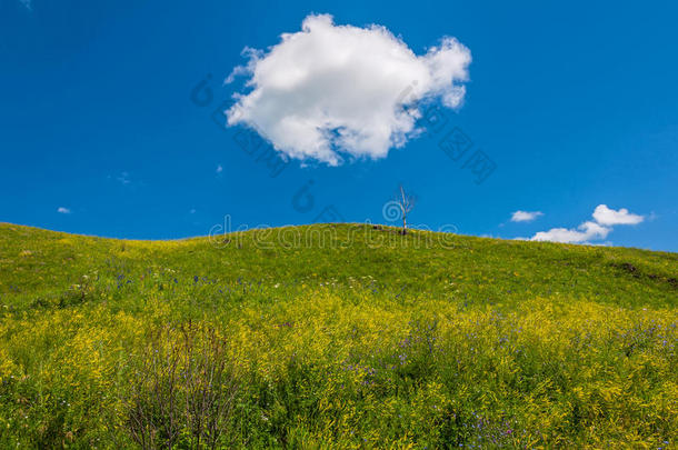 <strong>群山群山</strong>白云