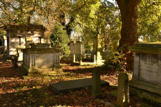 陵墓的坟墓覆盖着落叶