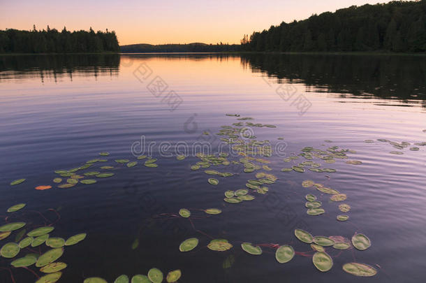 日落时的荒野湖