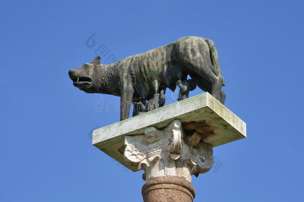 意大利比萨的罗穆卢斯和雷姆斯雕像