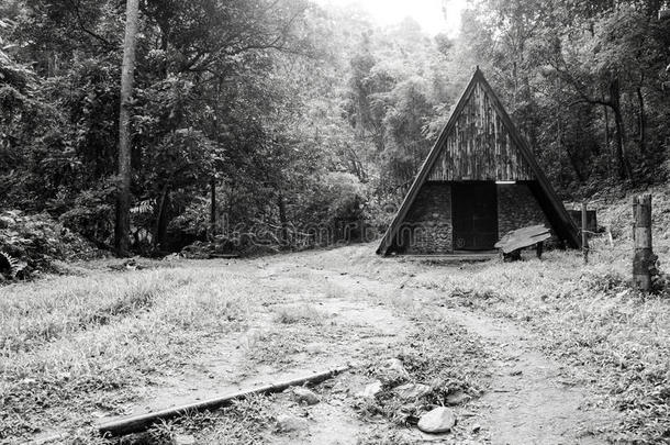 森林中的老木屋黑白影像