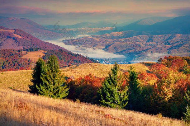 喀尔巴阡山秋日多姿多彩。