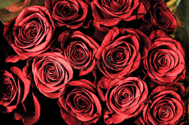 巴黎鲜花店的玫瑰