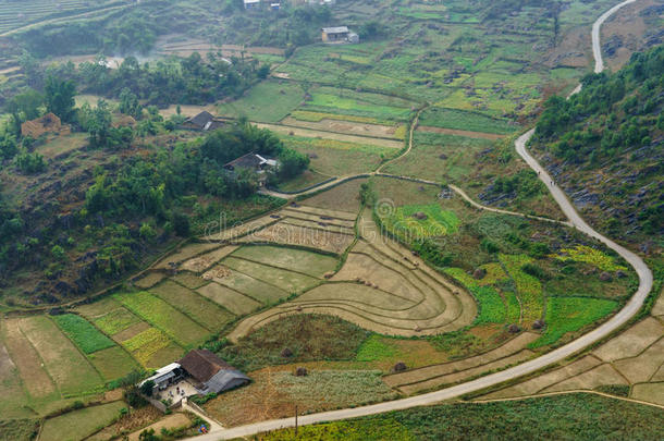 越南风景：范斯通高原上的田野，越南