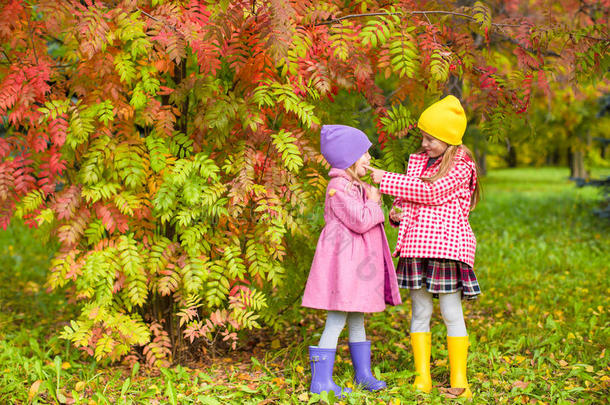 两个可爱的女孩在温暖阳光的秋天森林里