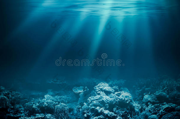 深海或海底的珊瑚礁