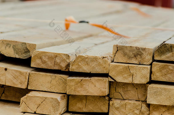 锯木厂施工用木桩
