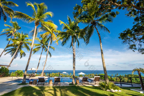 甲板椅躺椅与棕榈树和无限游泳池在巴拉科纳多米尼加共和国