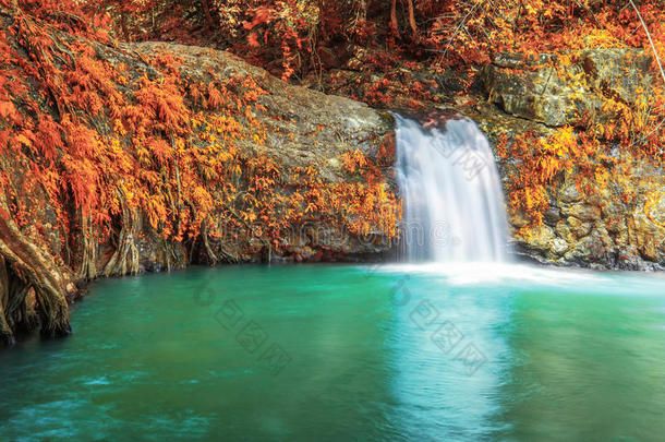 深林瀑布秋季在萨里卡瀑布世界遗产收藏