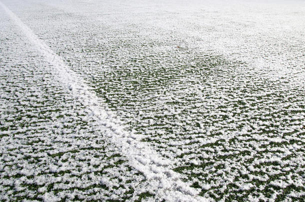 雪地青草