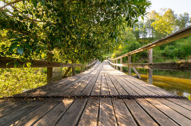 河边树林中风景秀丽的旅游小道