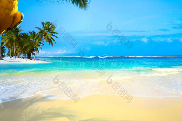 美丽的加勒比海热带海滩