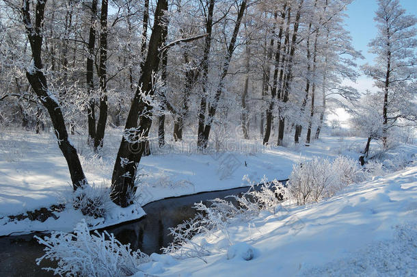 冬季风平浪静的冰冻景观，美丽的霜冻树木