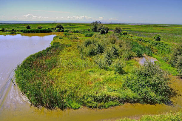 候鸟保护区的湿地