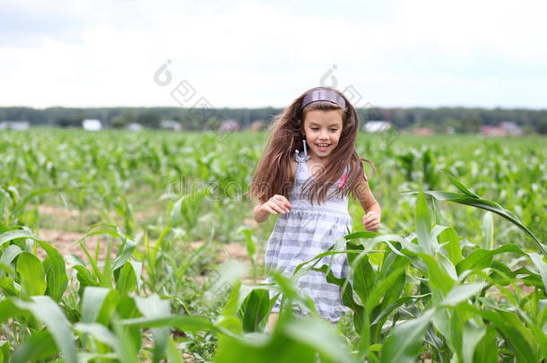 快乐的小女孩在玉米地里奔跑