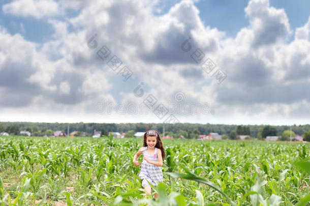 快乐的小女孩在玉米地里奔跑